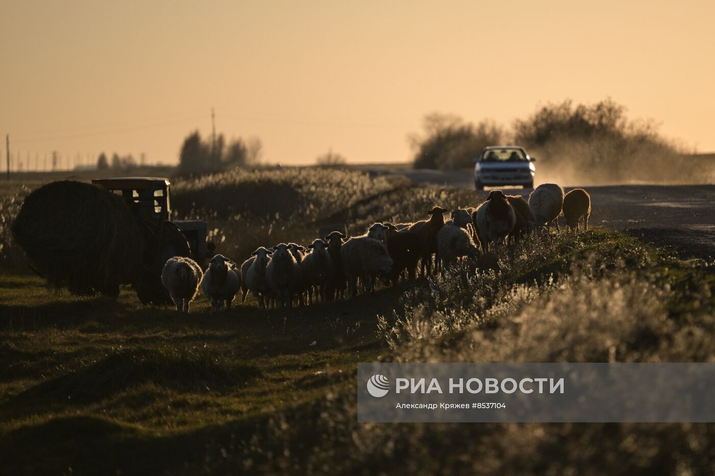 Сельская жизнь в Новосибирской области