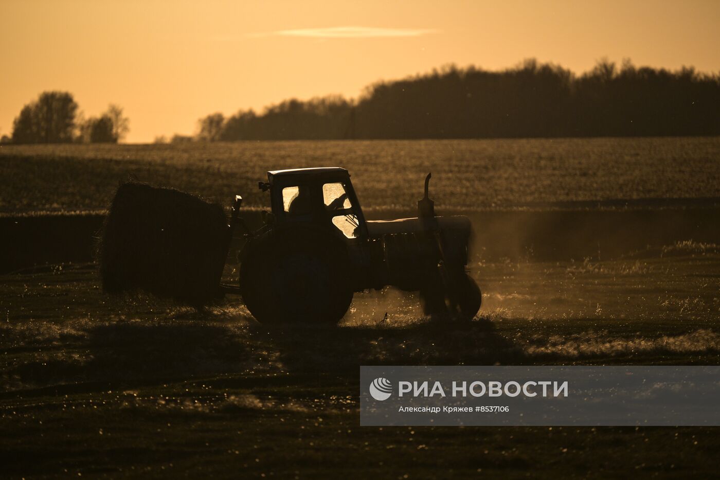 Сельская жизнь в Новосибирской области