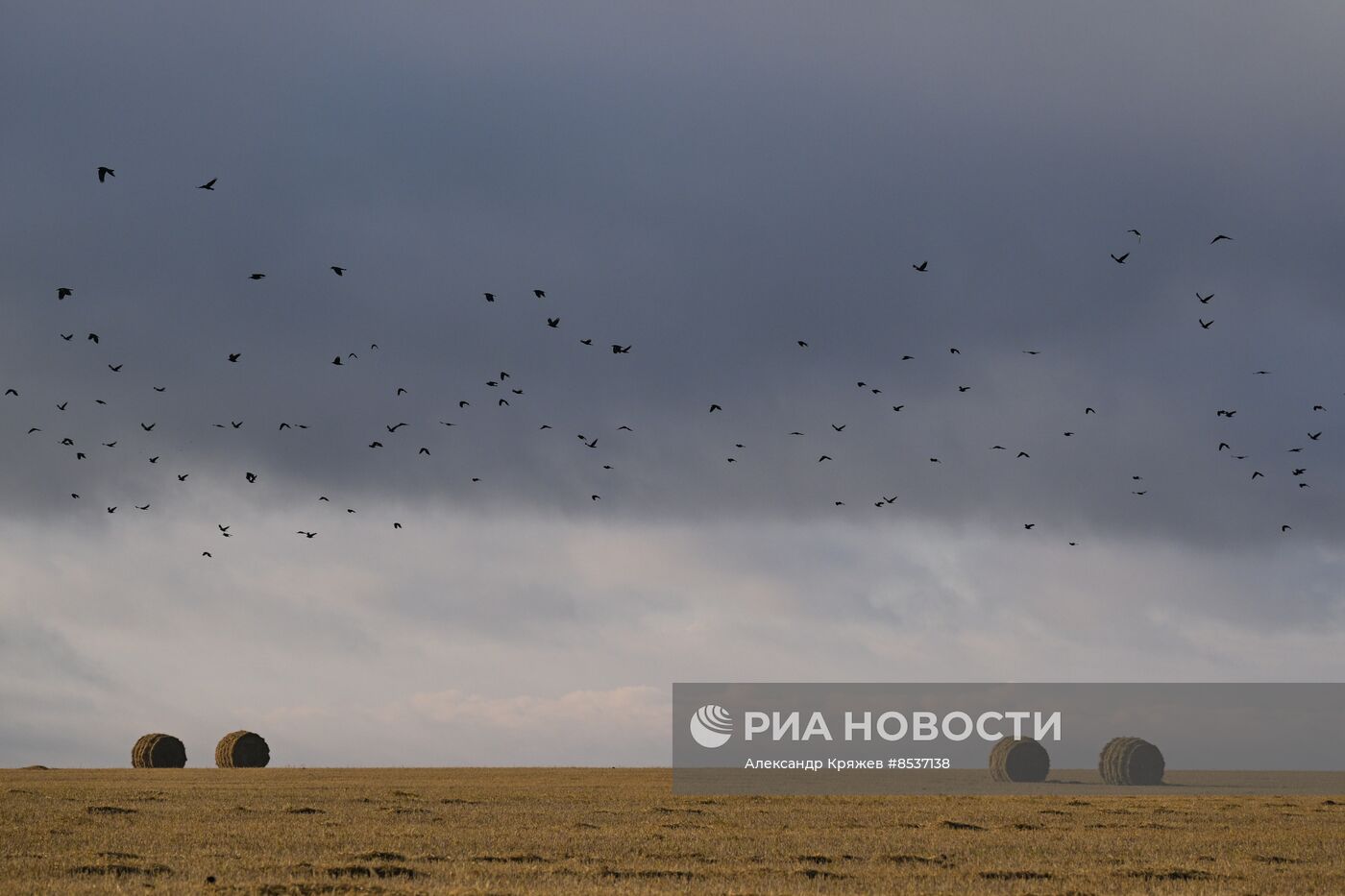 Сельская жизнь в Новосибирской области