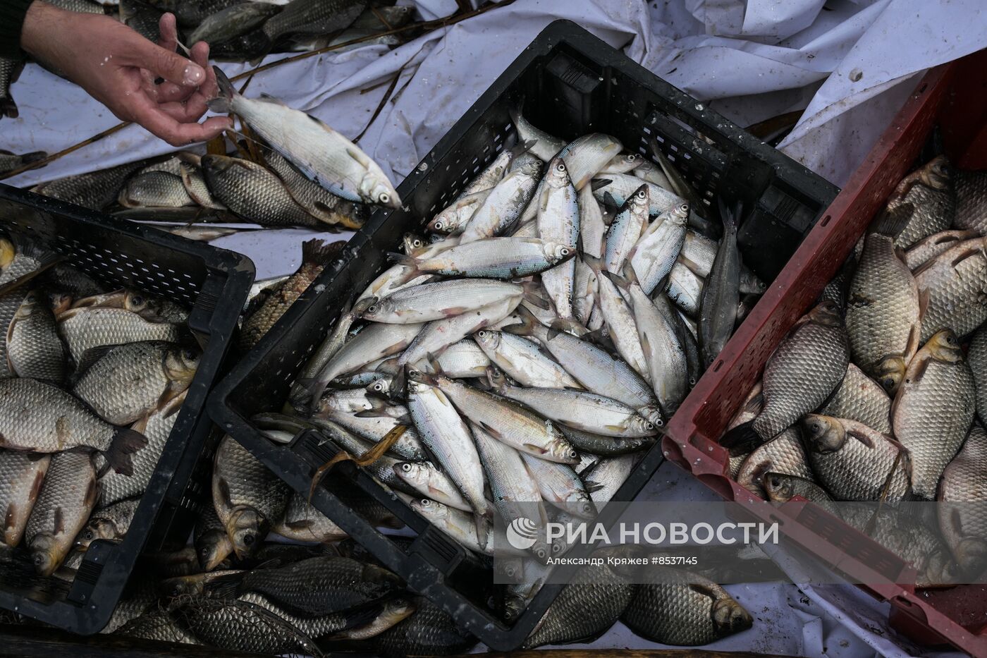 Сельская жизнь в Новосибирской области