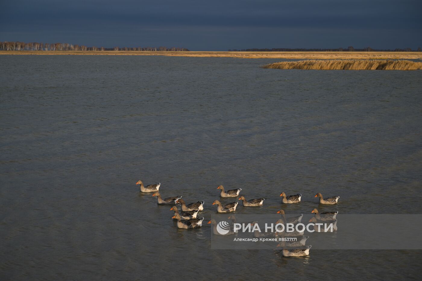 Сельская жизнь в Новосибирской области