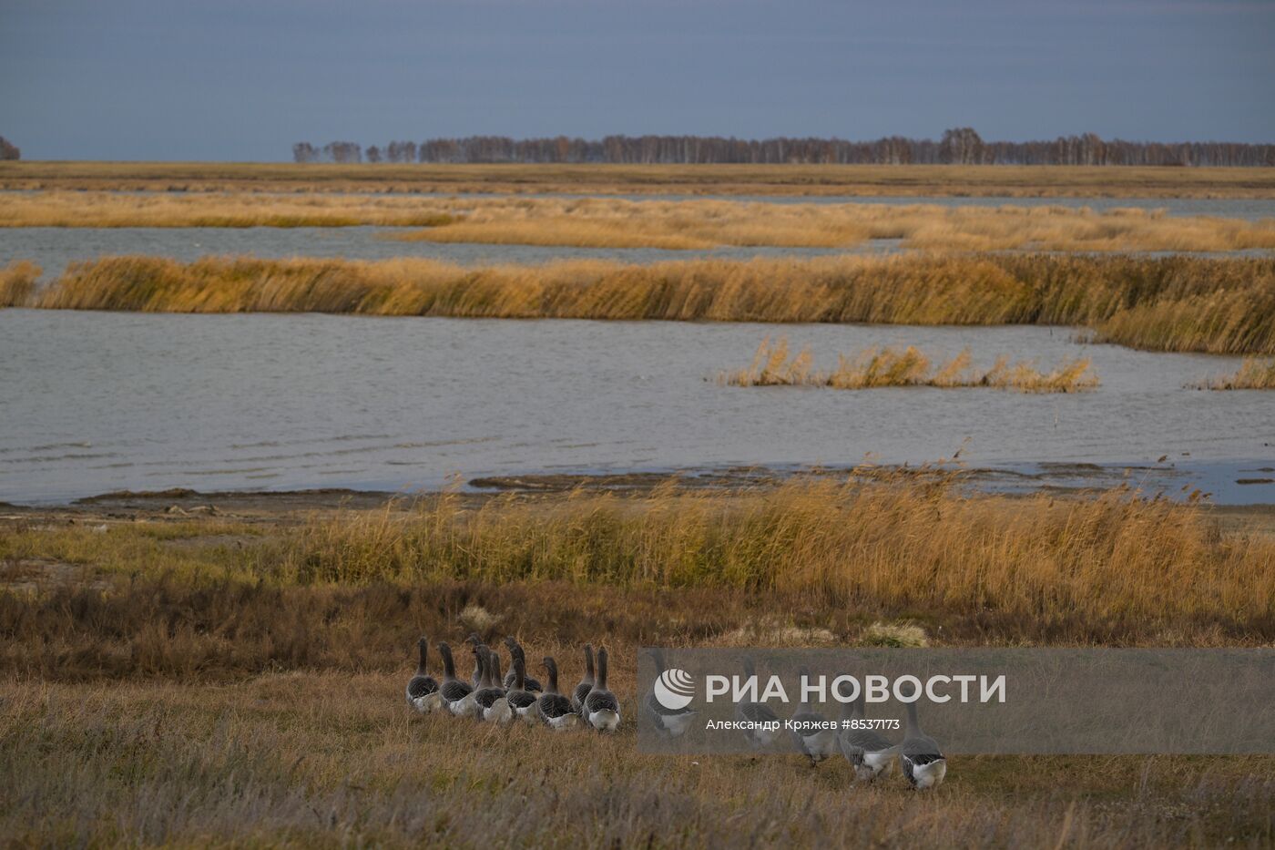 Сельская жизнь в Новосибирской области