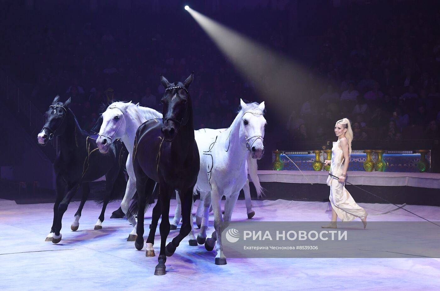 Международный фестиваль циркового искусства "Принцесса цирка". Открытие 