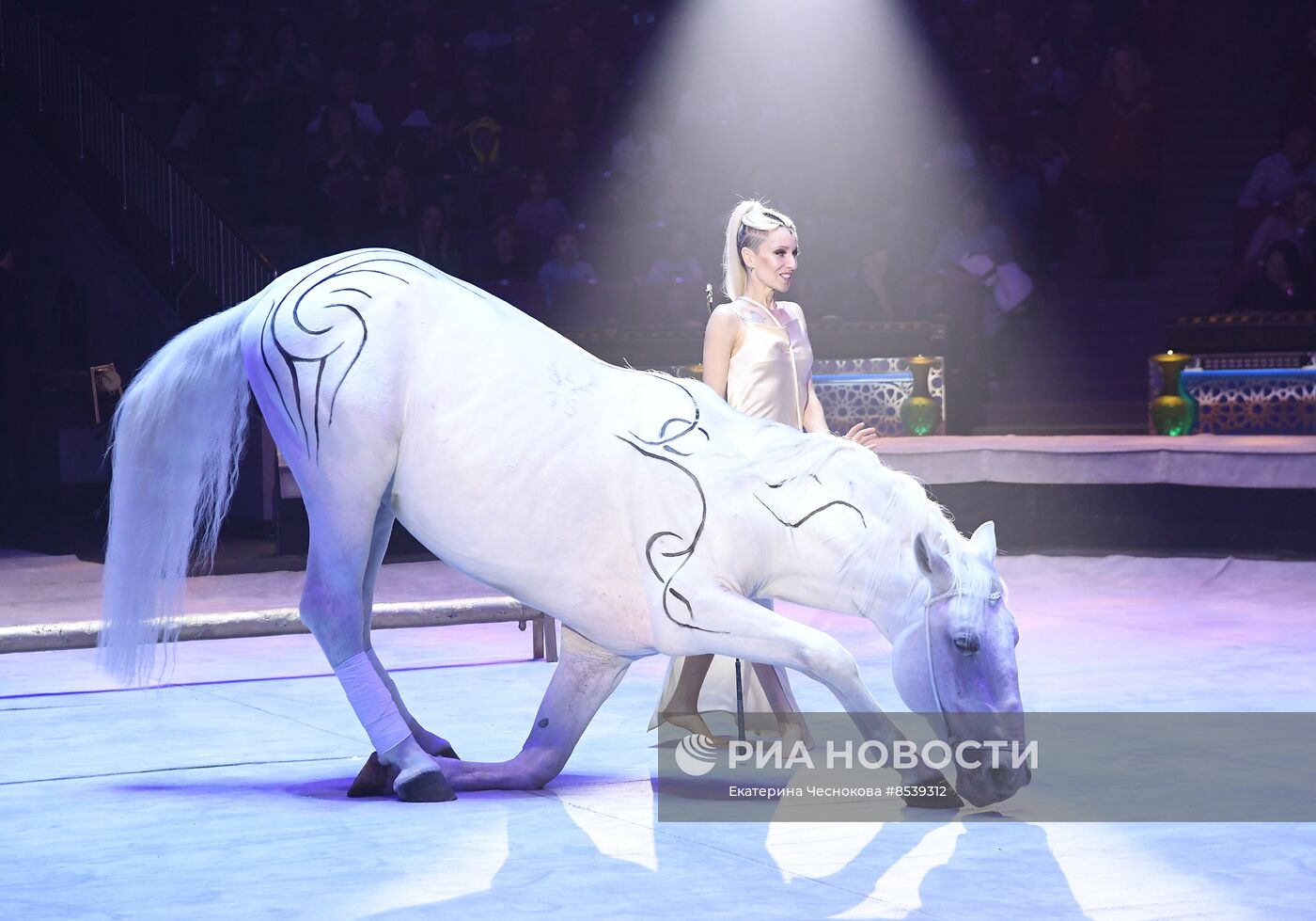 Международный фестиваль циркового искусства "Принцесса цирка". Открытие 