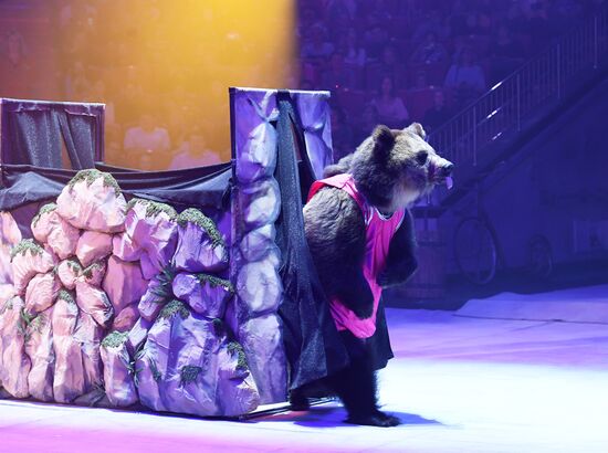 Международный фестиваль циркового искусства "Принцесса цирка. Конкурсные выступления