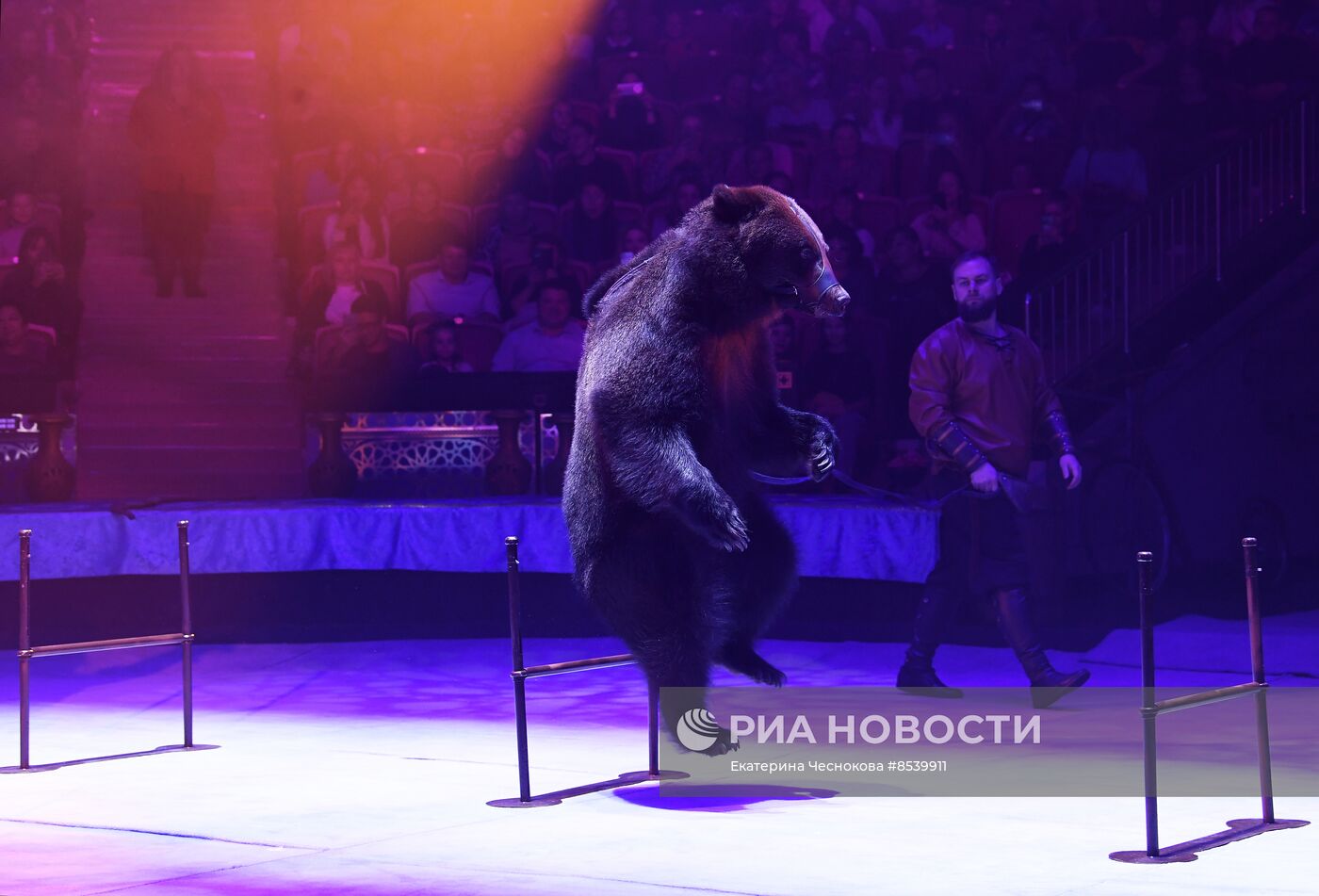 Международный фестиваль циркового искусства "Принцесса цирка. Конкурсные выступления