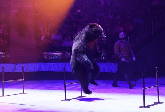 Международный фестиваль циркового искусства "Принцесса цирка. Конкурсные выступления