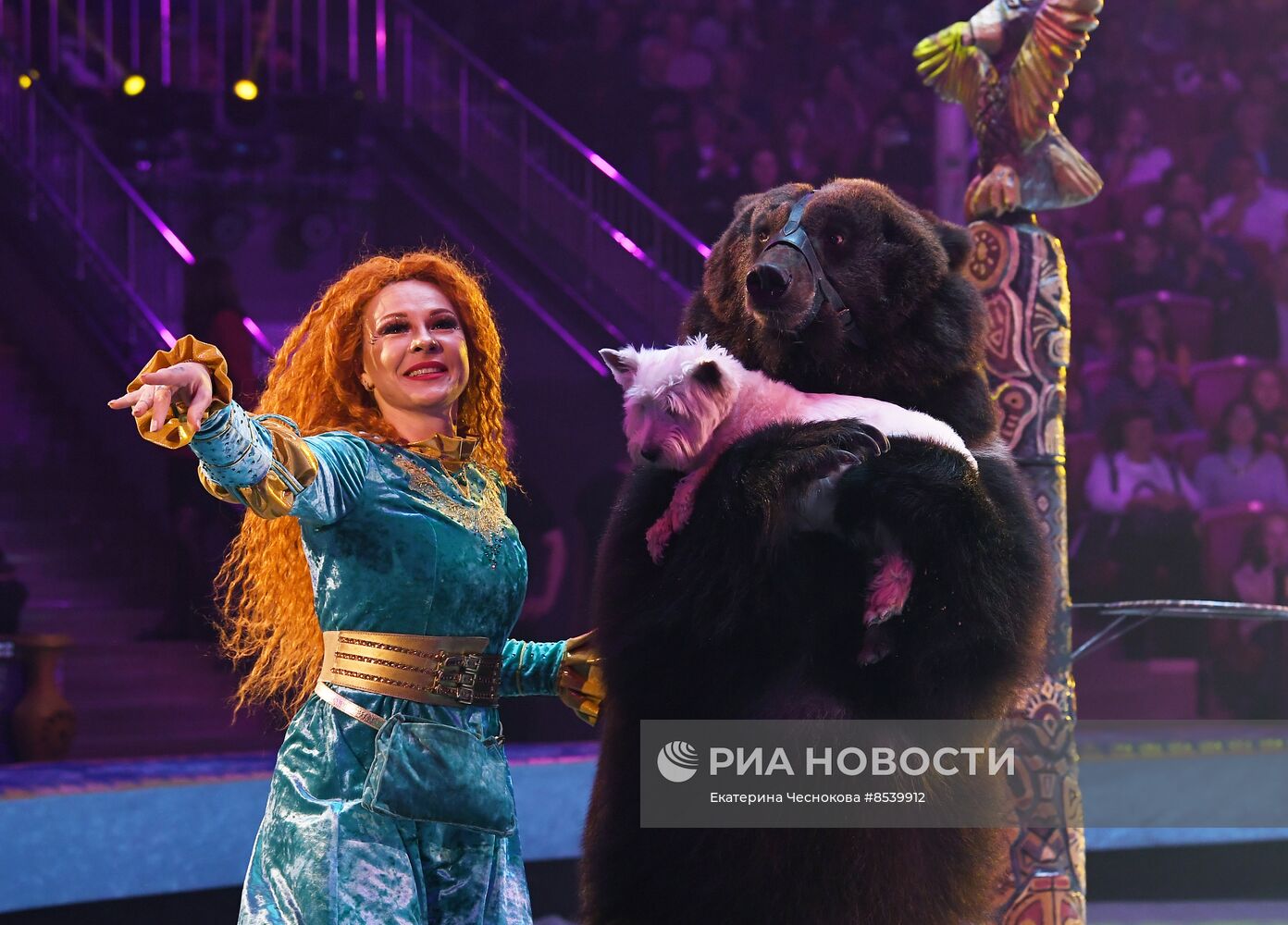 Международный фестиваль циркового искусства "Принцесса цирка. Конкурсные выступления