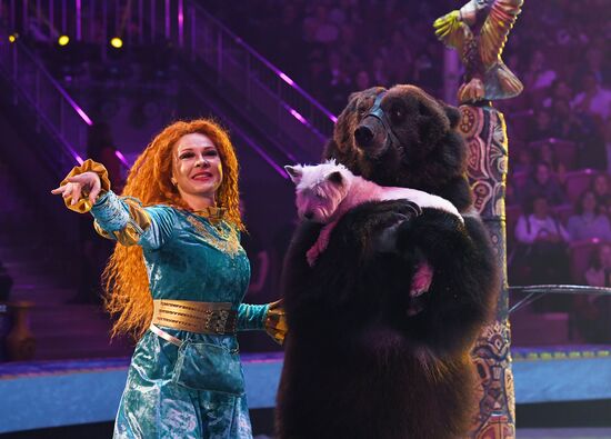 Международный фестиваль циркового искусства "Принцесса цирка. Конкурсные выступления