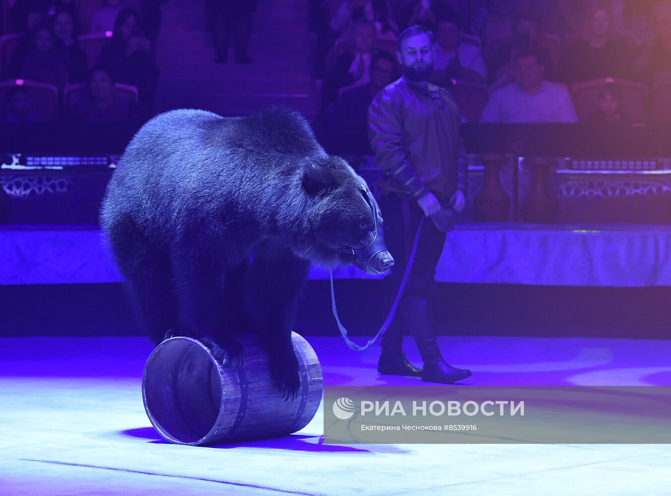 Международный фестиваль циркового искусства "Принцесса цирка. Конкурсные выступления