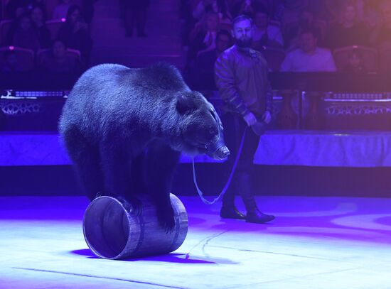 Международный фестиваль циркового искусства "Принцесса цирка. Конкурсные выступления