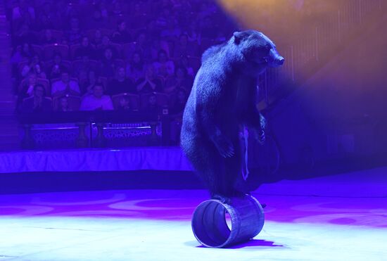 Международный фестиваль циркового искусства "Принцесса цирка. Конкурсные выступления