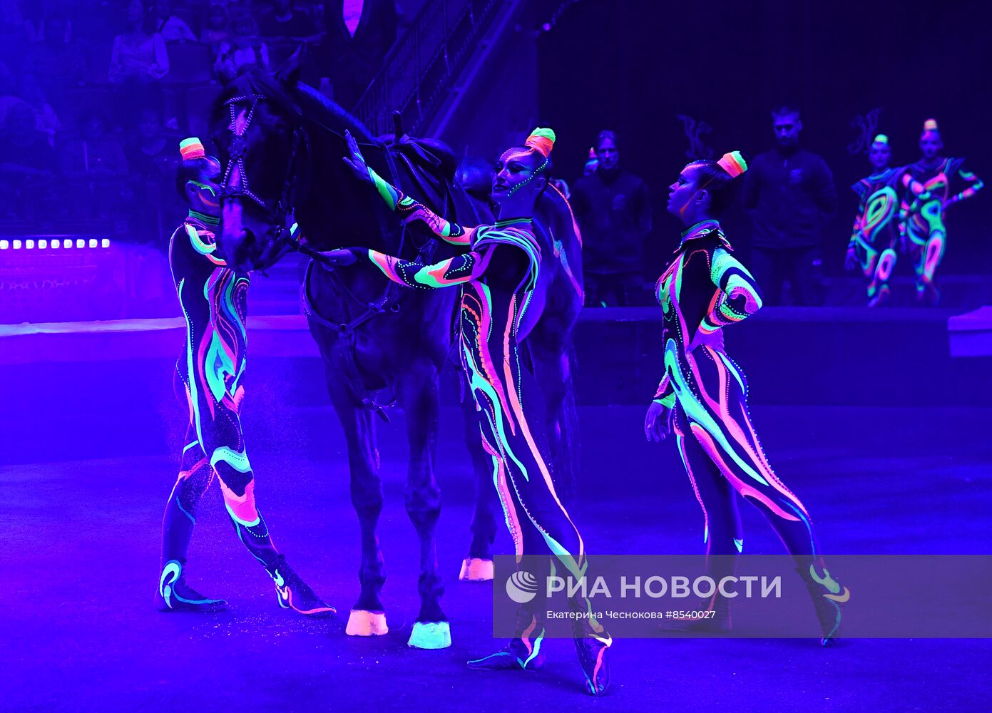 Международный фестиваль циркового искусства "Принцесса цирка. Конкурсные выступления