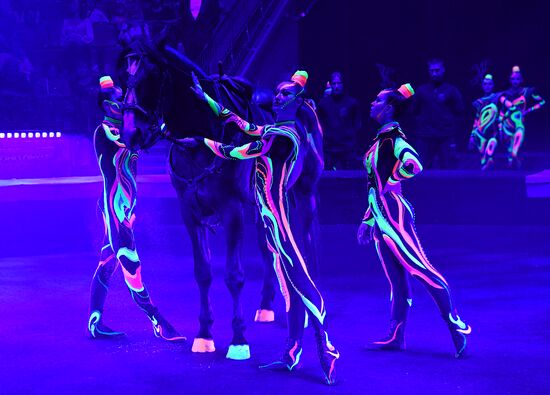 Международный фестиваль циркового искусства "Принцесса цирка. Конкурсные выступления
