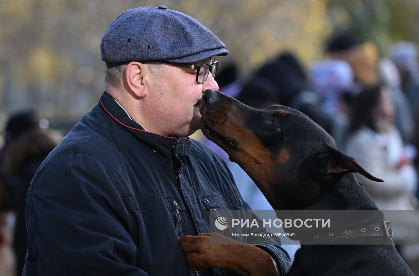 День Добермана в Казани