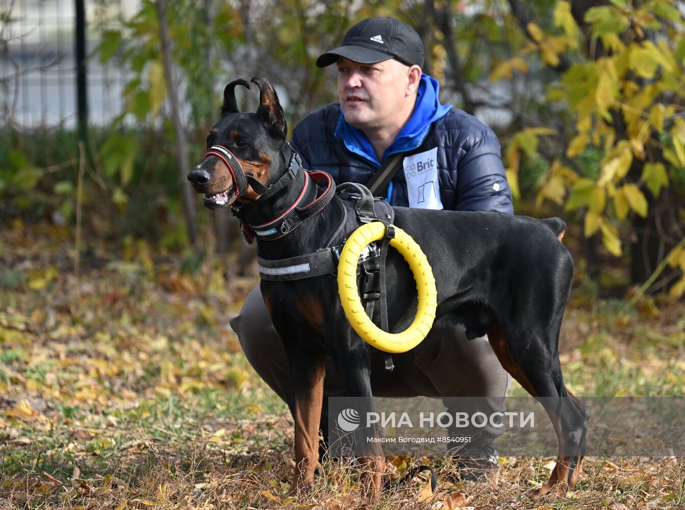 День Добермана в Казани