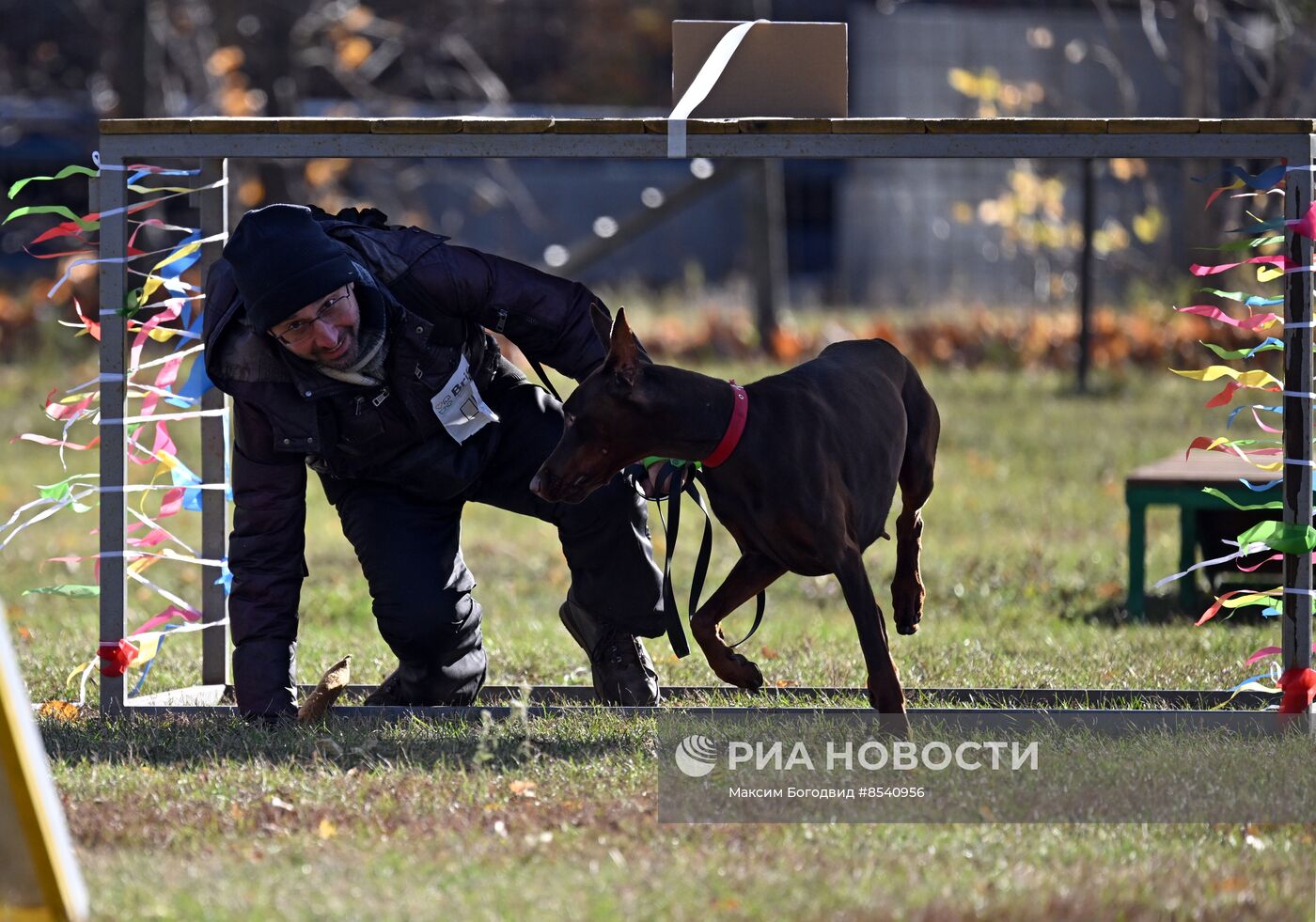 День Добермана в Казани