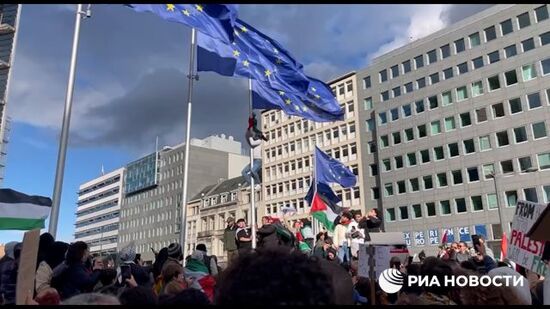 Десятки тысяч человек с палестинскими флагами начали протест в Брюсселе