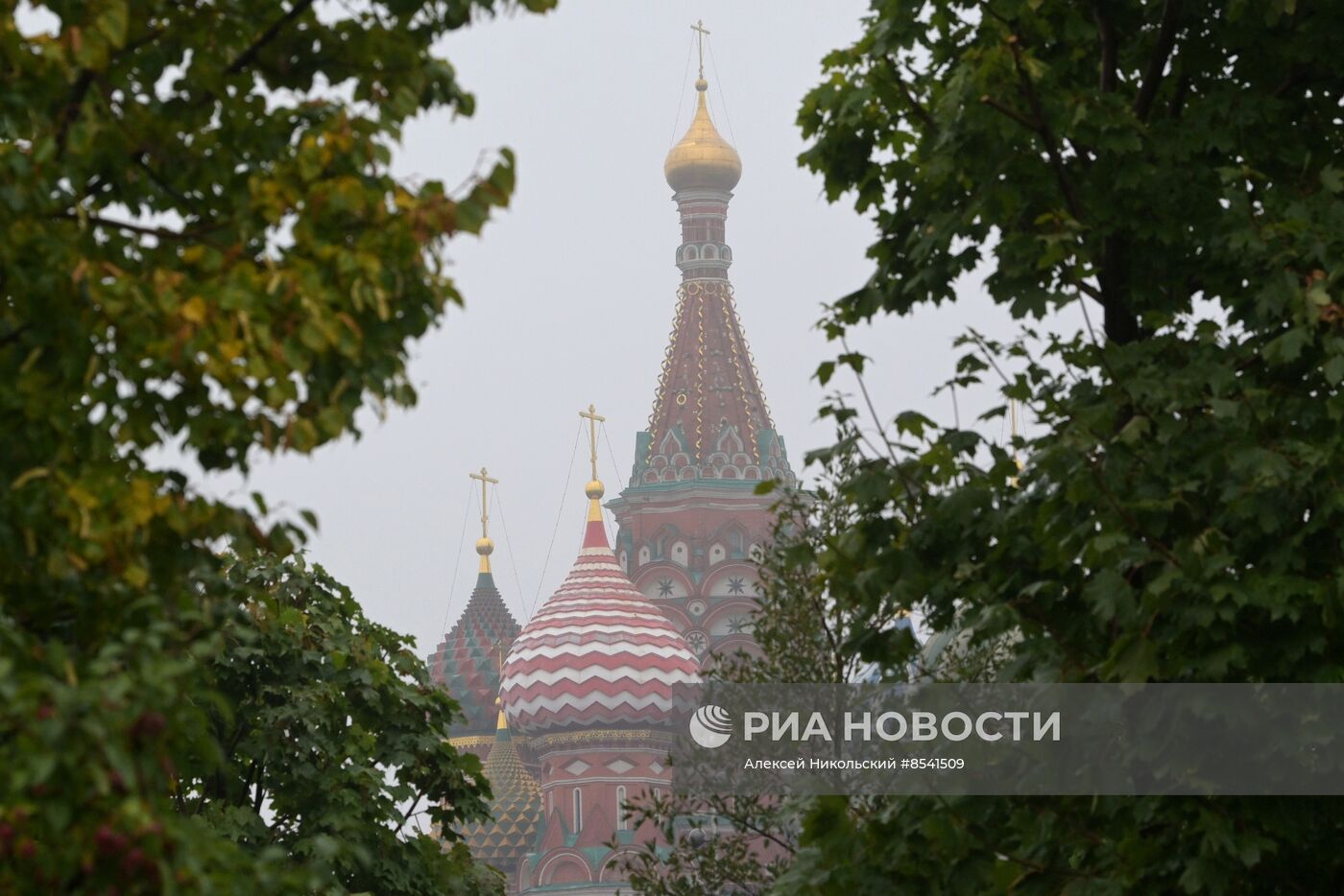 Туман в Москве