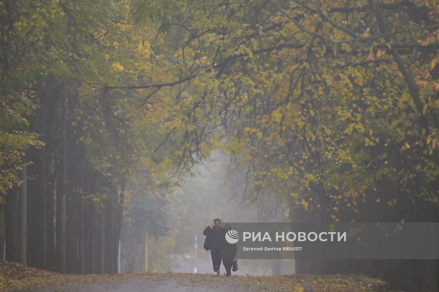 Туман в Москве