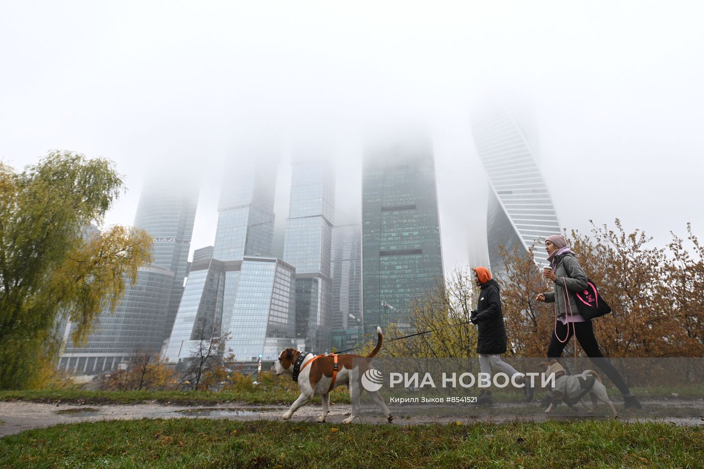 Туман в Москве