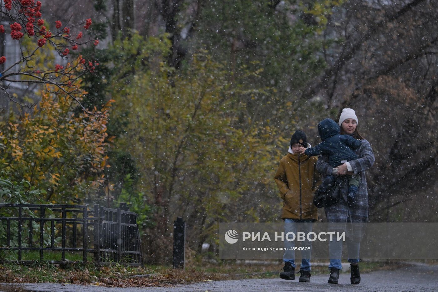 Первый снег в Новосибирске