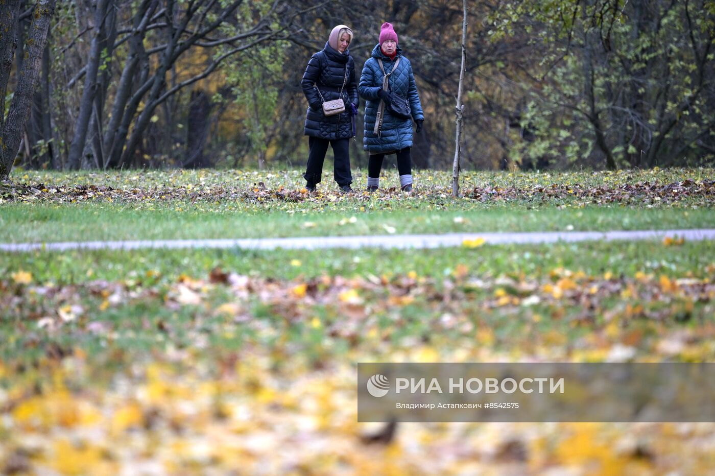 Осень в Москве