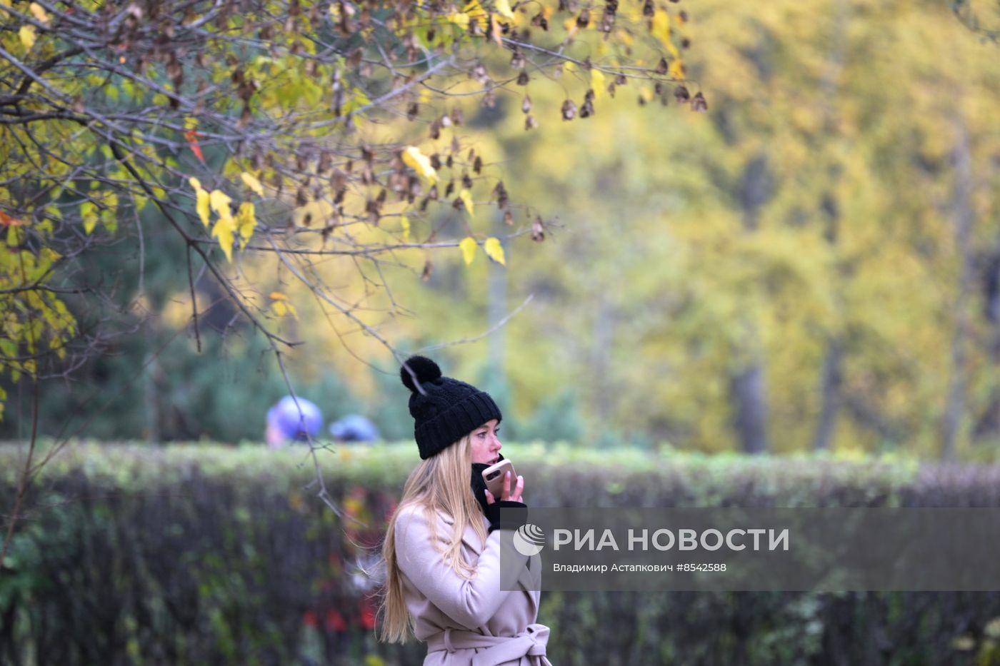 Осень в Москве
