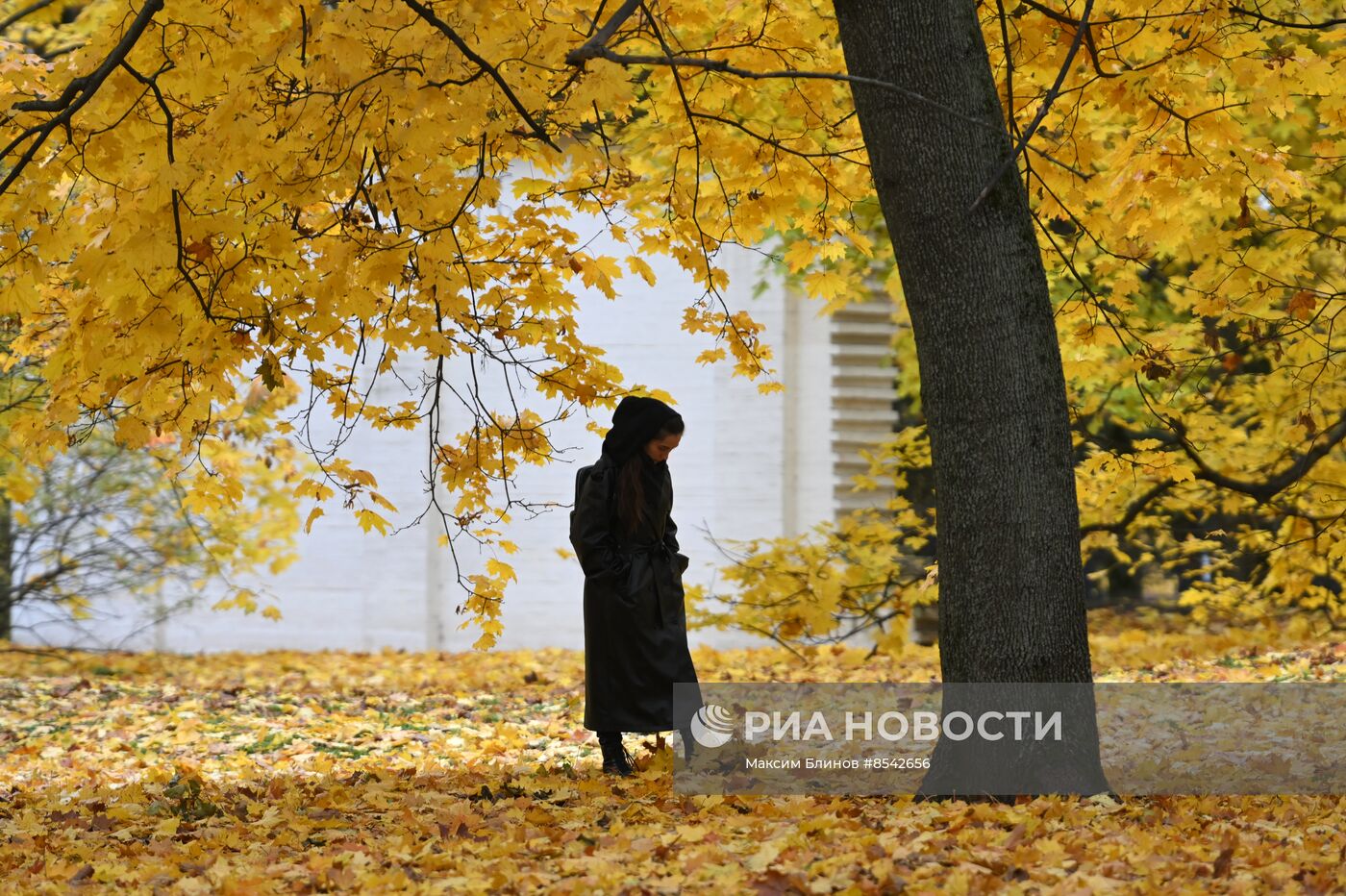 Осень в Москве