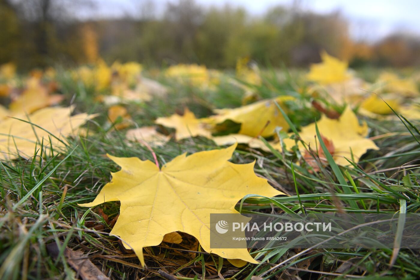 Осень в Москве