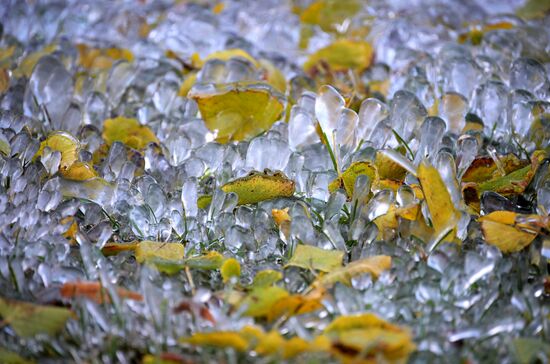 Снег в Москве