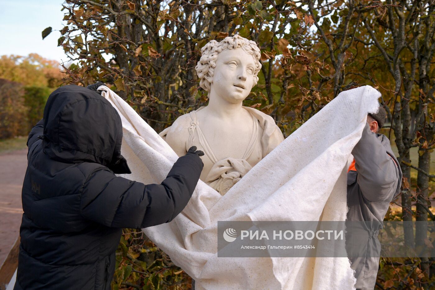 Подготовка к зиме скульптур в парке "Царское село"