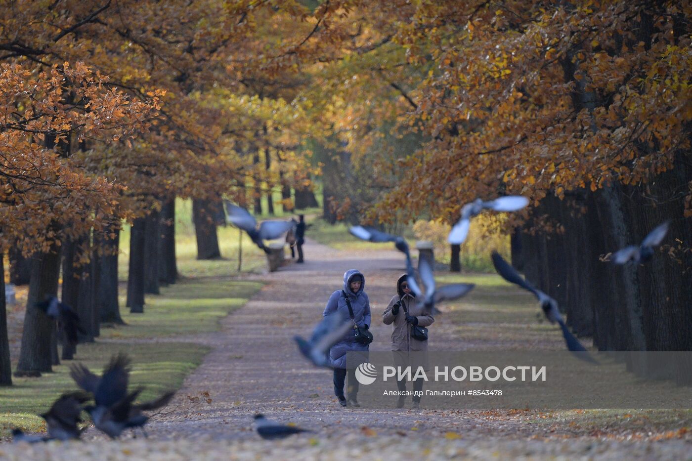 Осень в Санкт-Петербурге