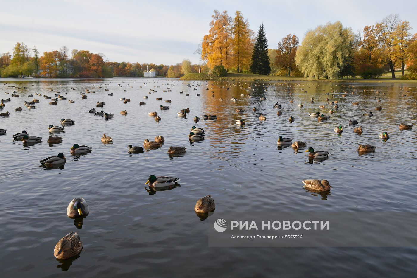 Осень в Санкт-Петербурге