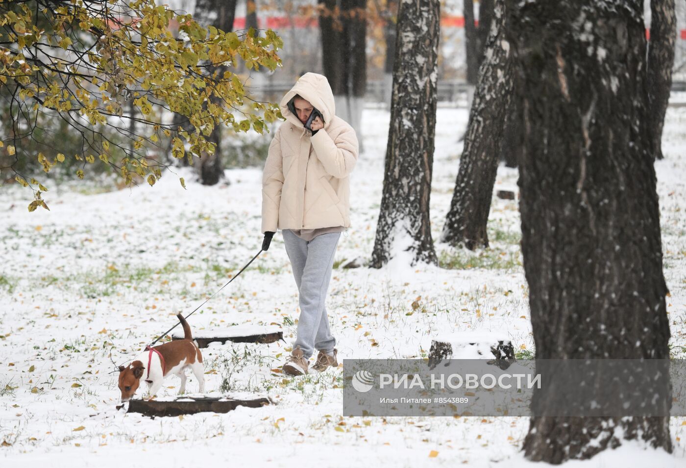 Снег в Москве 