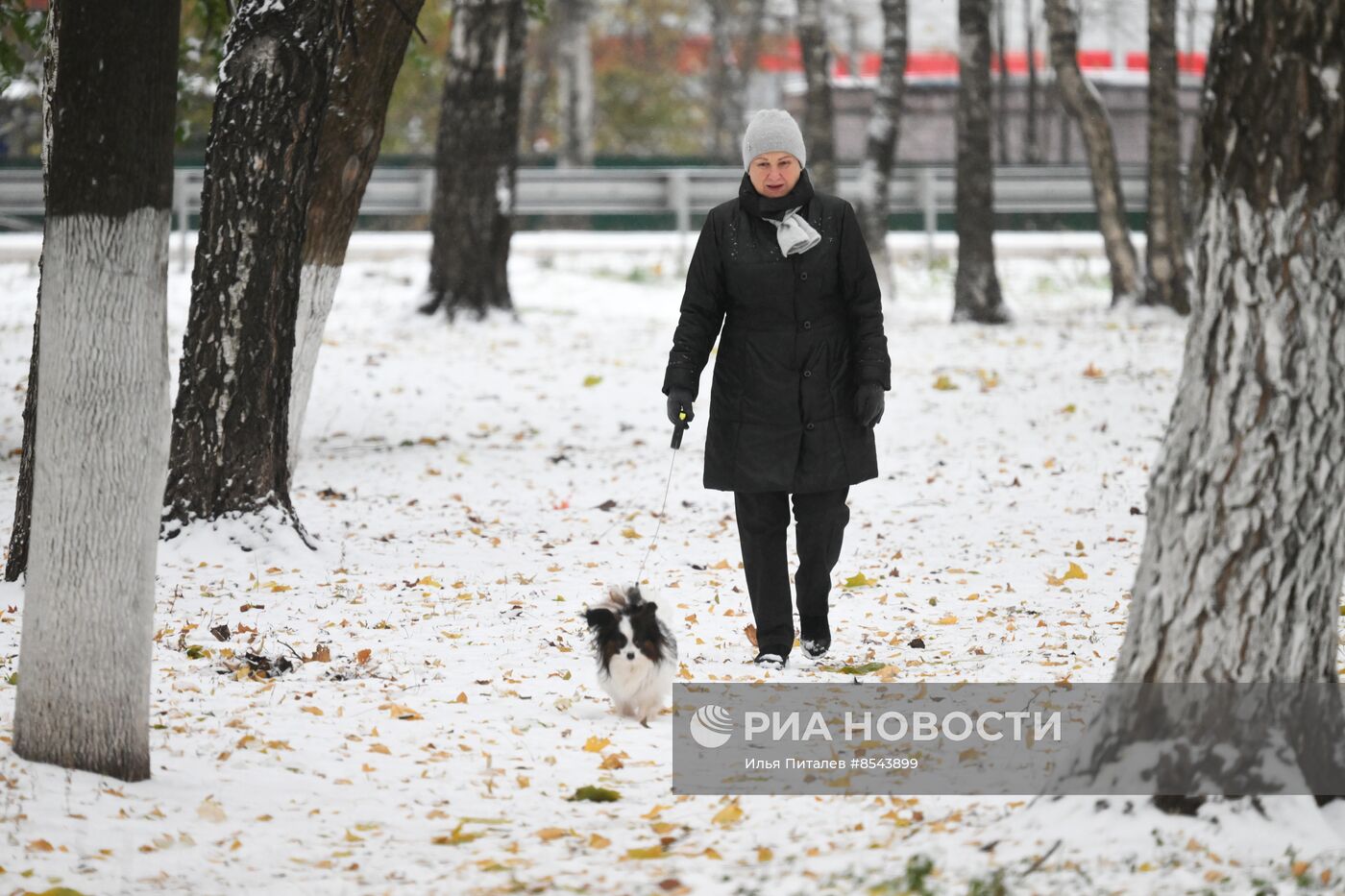 Снег в Москве 