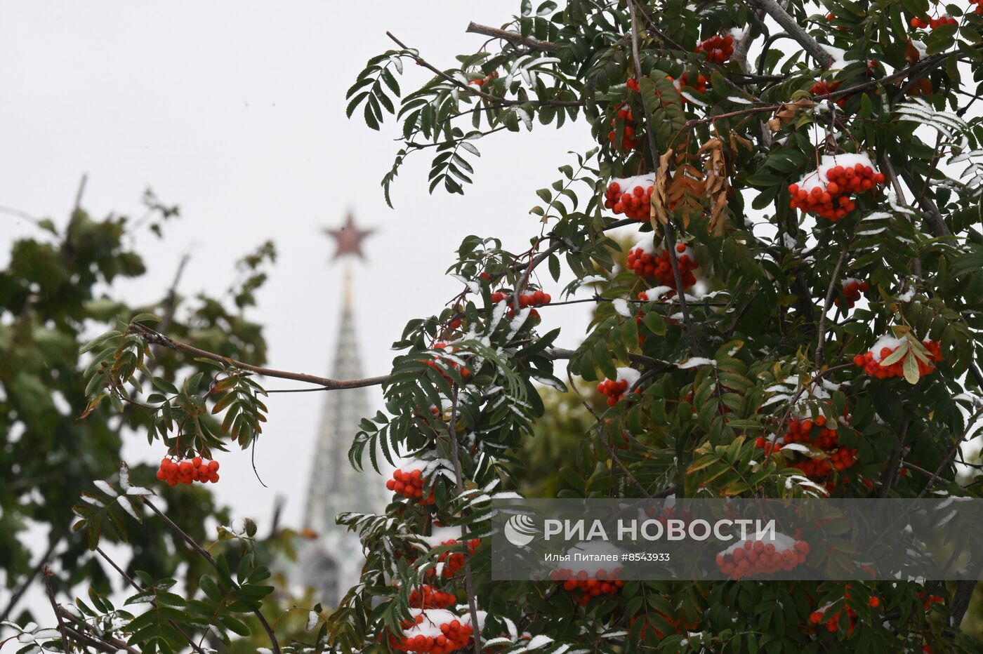 Снег в Москве