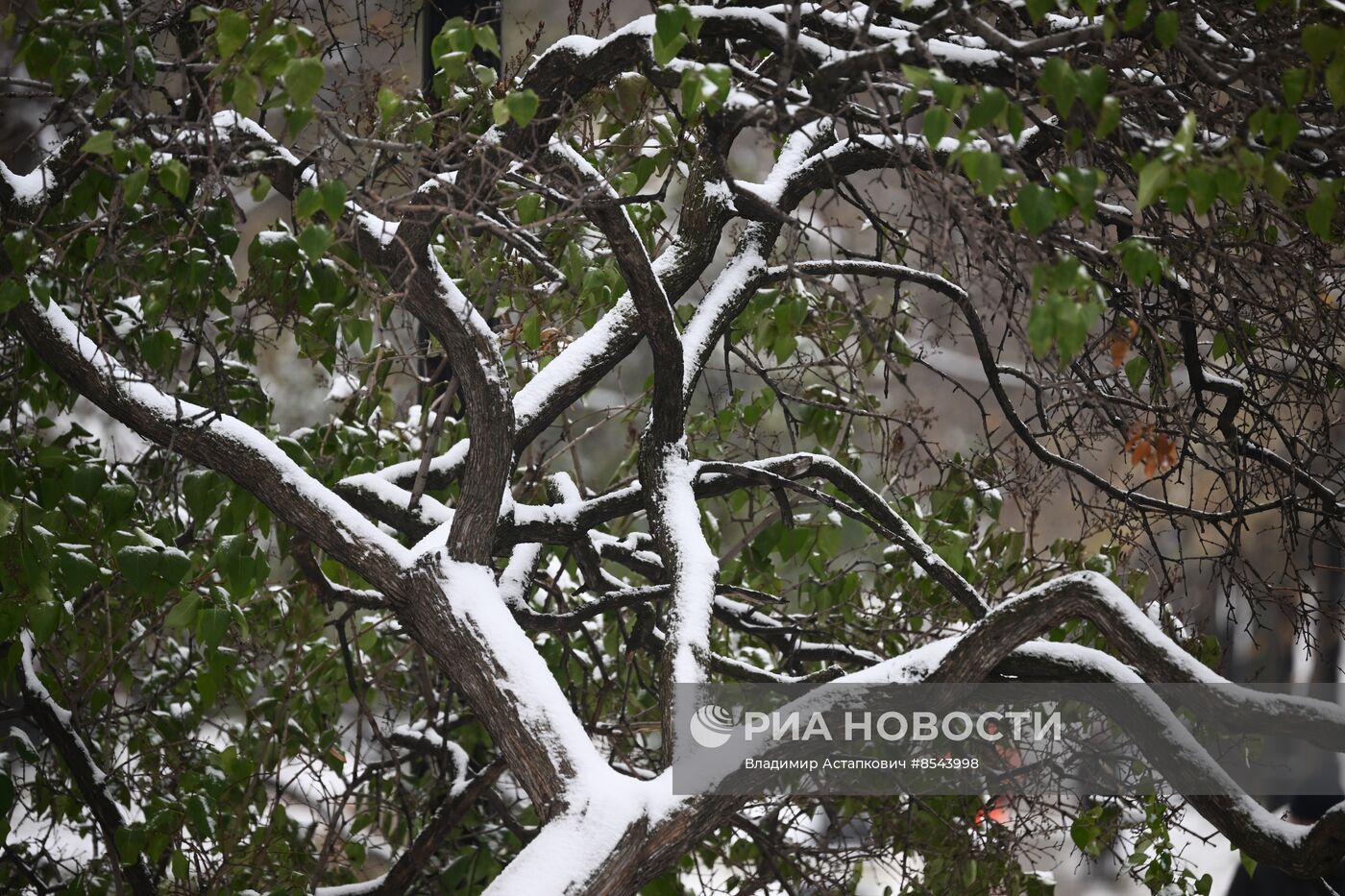 Снег в Москве 