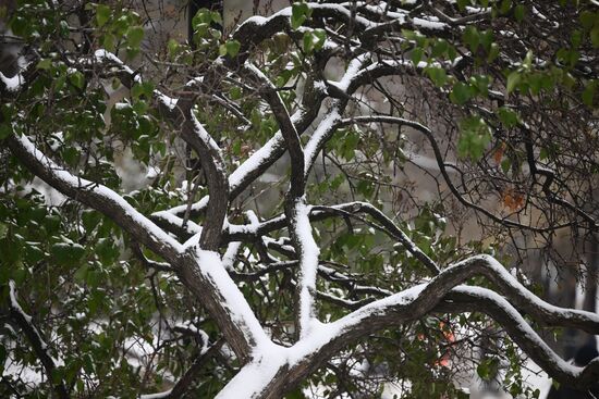 Снег в Москве 