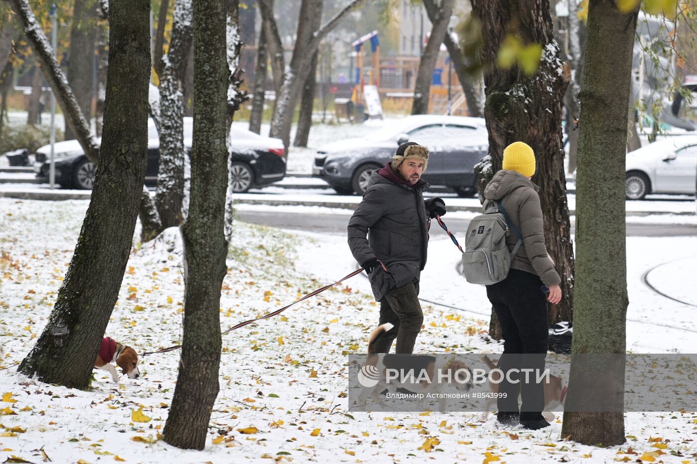 Снег в Москве 