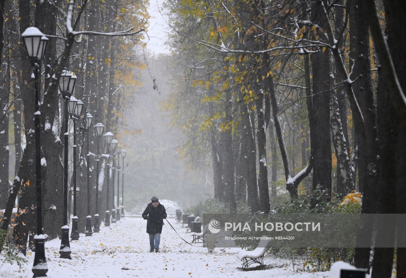 Снег в Москве