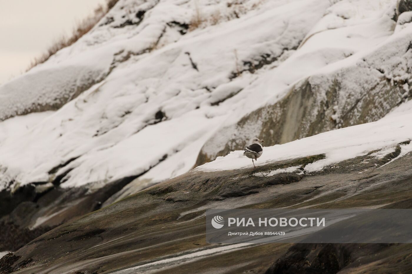 Кольский залив в Мурманской области