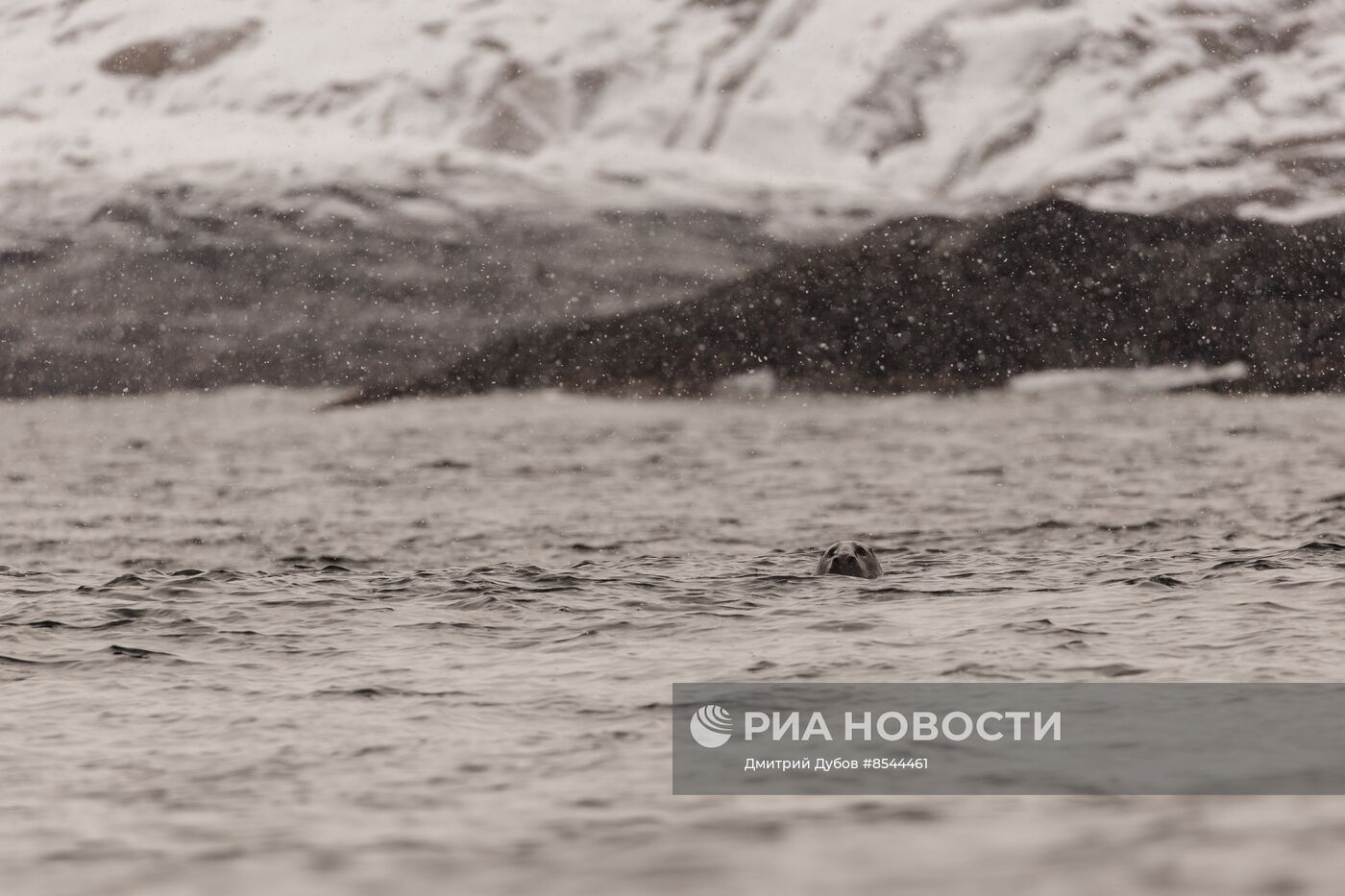 Кольский залив в Мурманской области