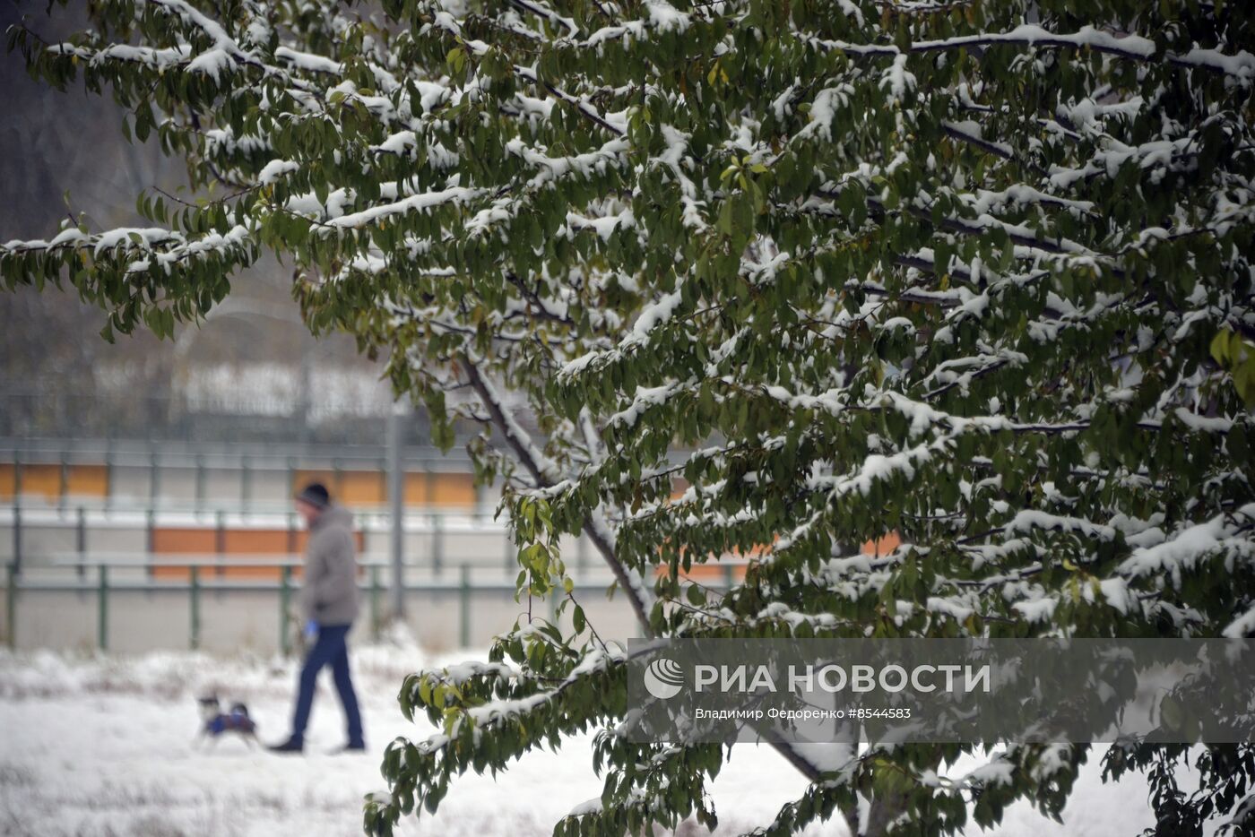 Снег в Москве