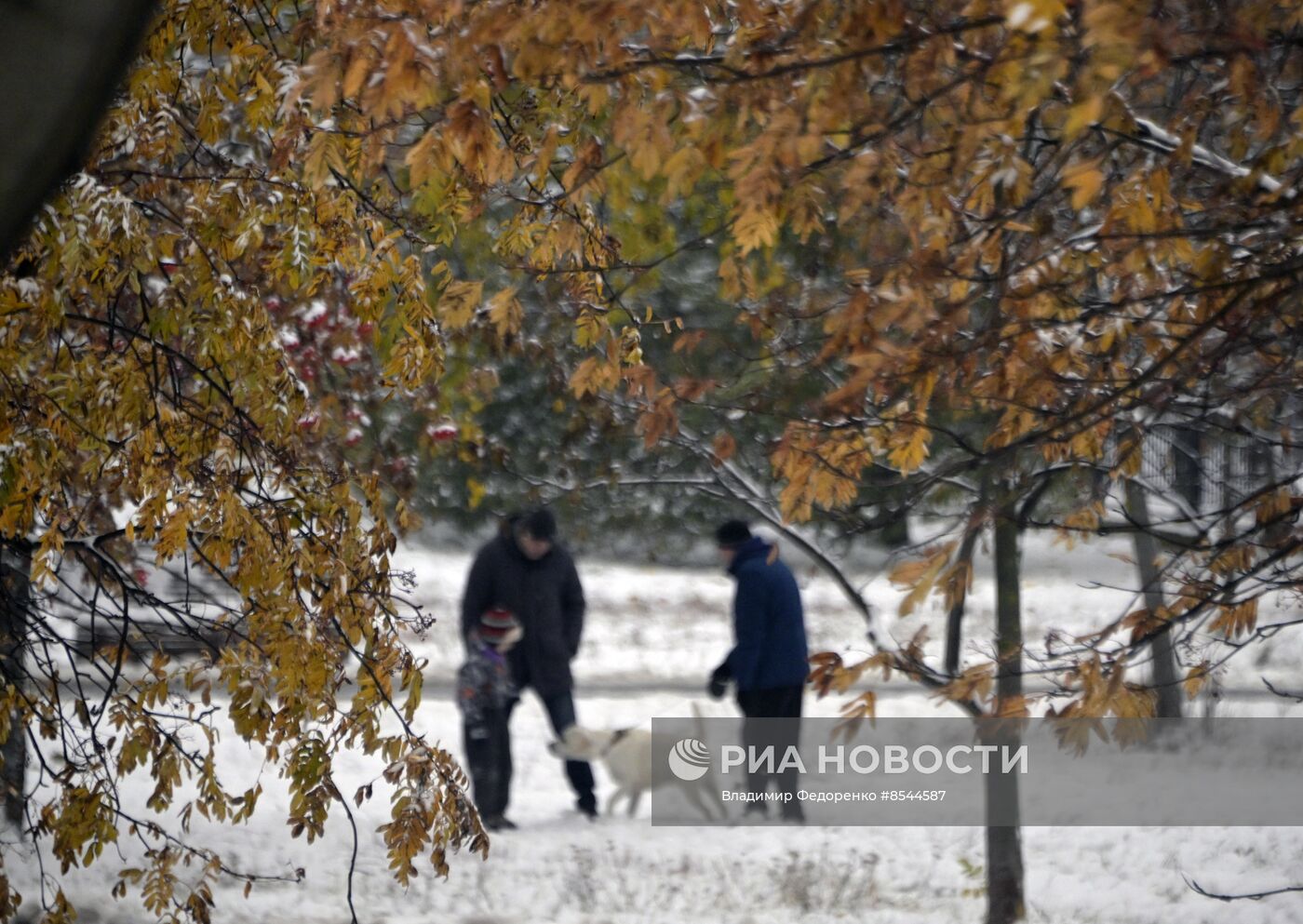 Снег в Москве