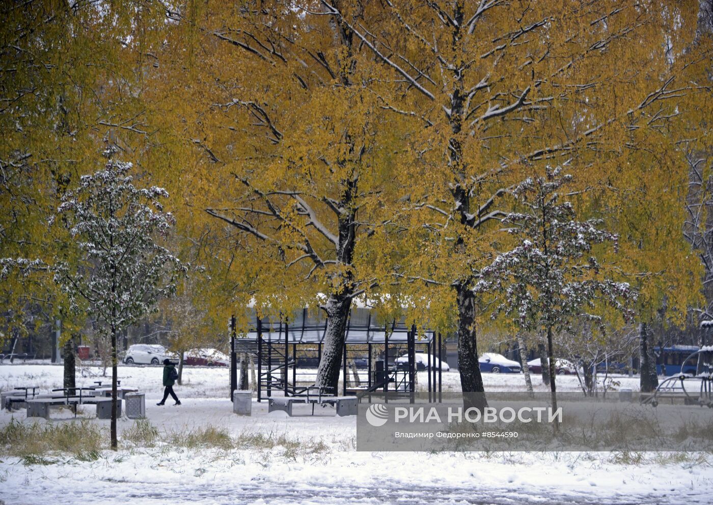 Снег в Москве