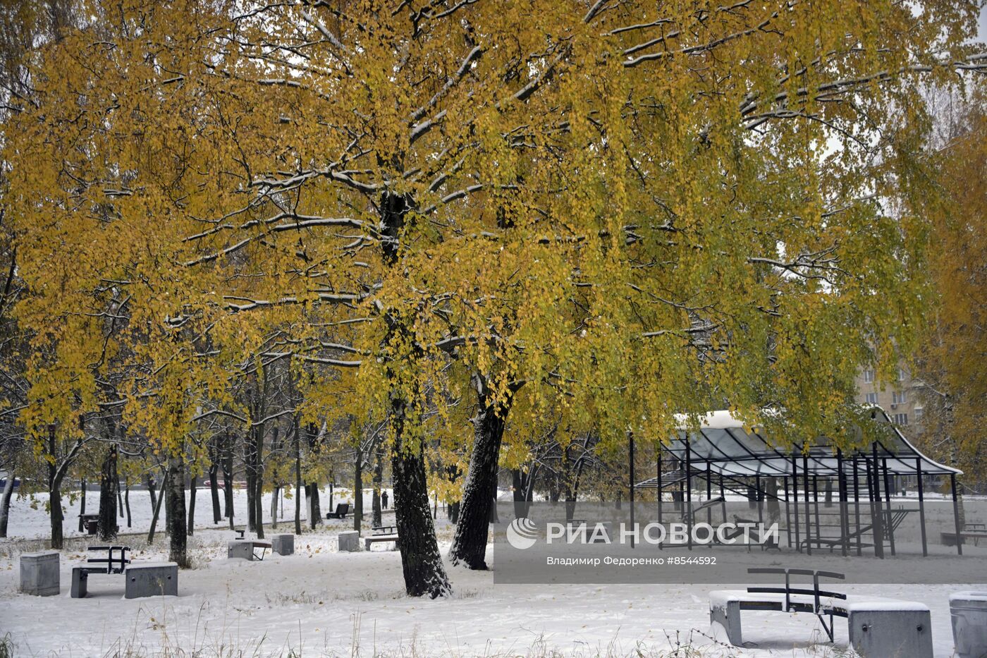 Снег в Москве