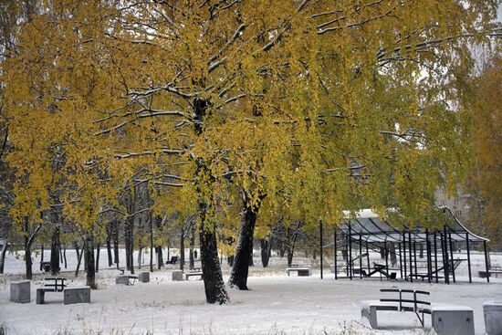 Снег в Москве