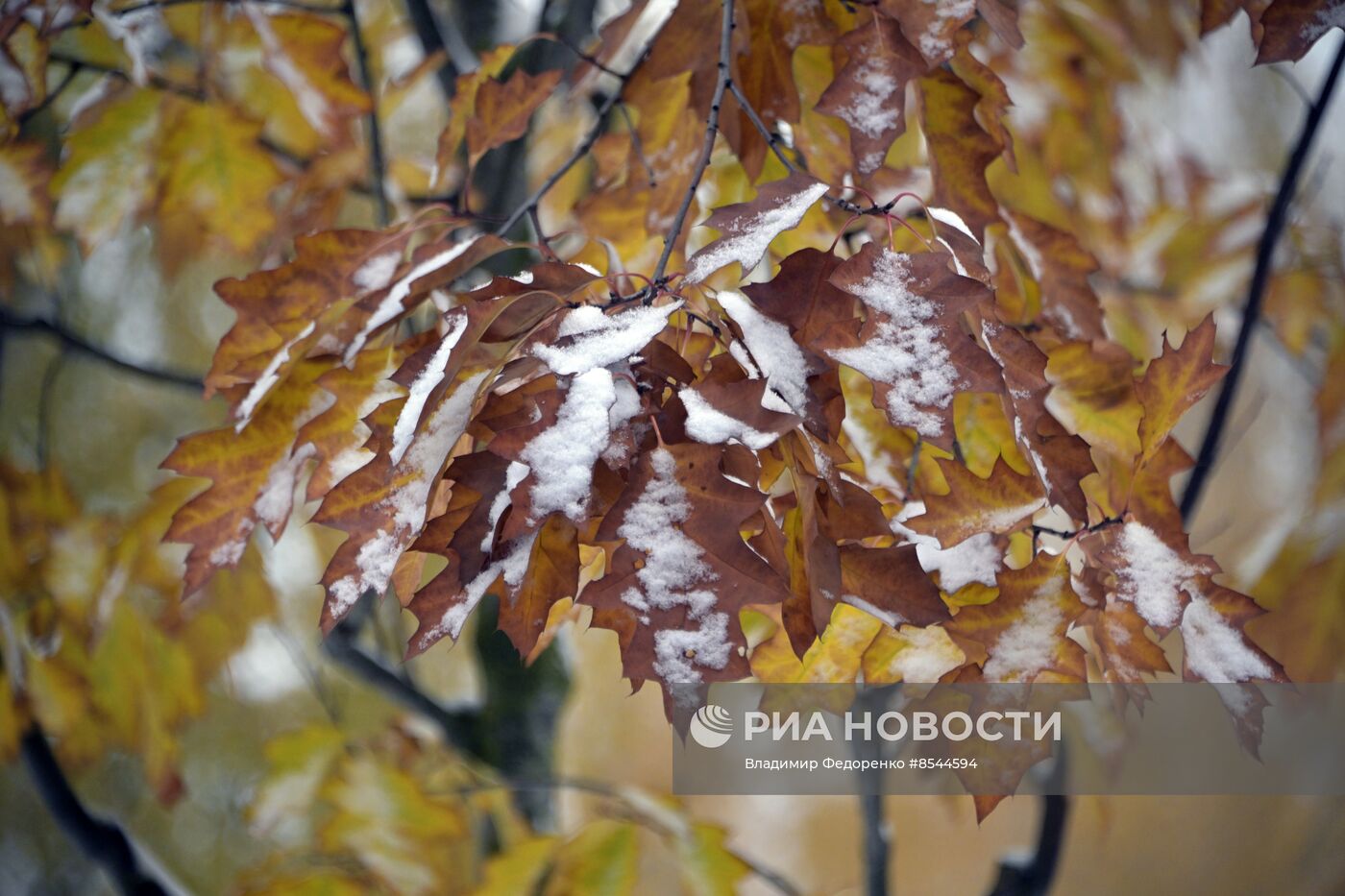 Снег в Москве