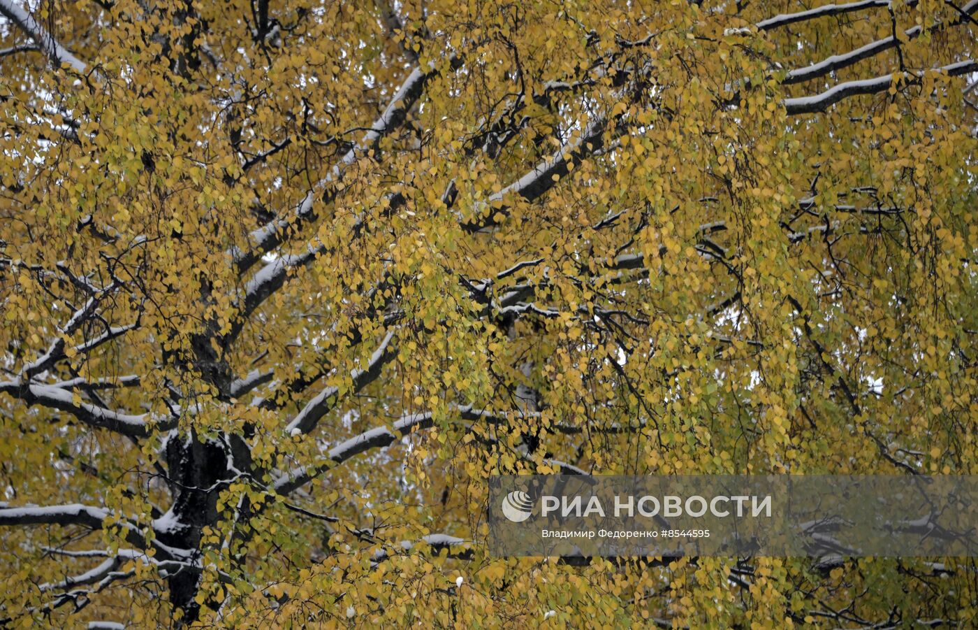 Снег в Москве